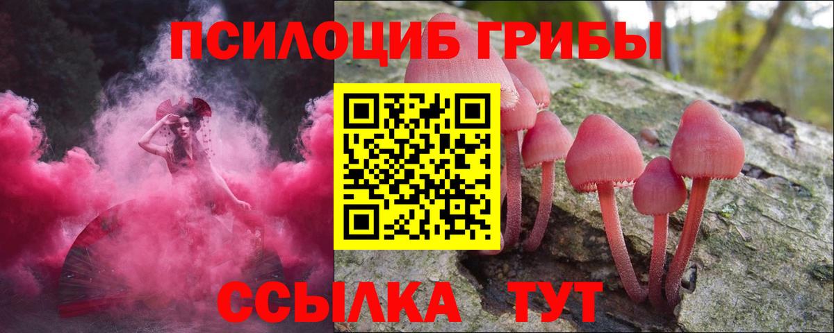 закладки  Галлюциногенные грибы мухоморы  Вход с VPN  Елец 